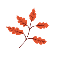 Bilan Minceur GRATUIT : Votre Plan d'Action Personnalisé & SANS Engagement